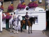 wimbledon-stables