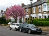 wimbledon-streetscape