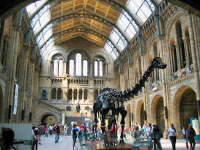 The Natural History Museum w Londynie